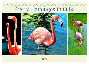 Pretty Flamingos in Cuba (Tischkalender 2024 DIN A5 quer), CALVENDO Monatskalender von von Loewis of Menar,  Henning