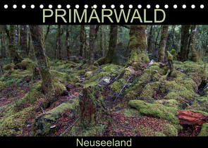 Primärwald – Neuseeland (Tischkalender 2023 DIN A5 quer) von Flori0