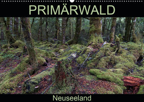 Primärwald – Neuseeland (Wandkalender 2021 DIN A2 quer) von Flori0