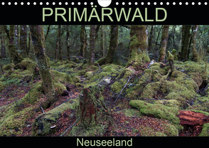 Primärwald – Neuseeland (Wandkalender 2021 DIN A4 quer) von Flori0