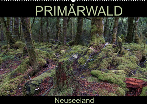 Primärwald – Neuseeland (Wandkalender 2022 DIN A2 quer) von Flori0