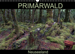 Primärwald – Neuseeland (Wandkalender 2022 DIN A3 quer) von Flori0