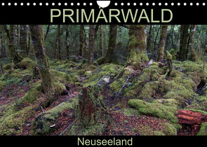 Primärwald – Neuseeland (Wandkalender 2022 DIN A4 quer) von Flori0