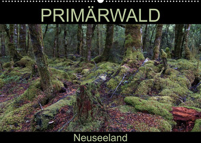 Primärwald – Neuseeland (Wandkalender 2023 DIN A2 quer) von Flori0