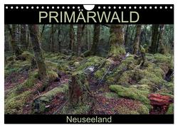 Primärwald – Neuseeland (Wandkalender 2024 DIN A4 quer), CALVENDO Monatskalender von Flori0,  Flori0