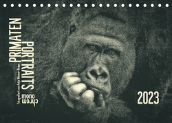 PRIMATEN PORTRAITS – monochrom (Tischkalender 2023 DIN A5 quer) von Wenner-Braun,  Antje