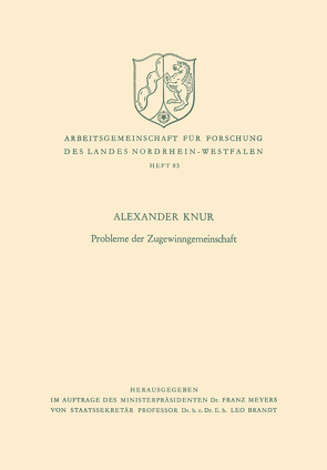 Probleme der Zugewinngemeinschaft von Knur,  Alexander