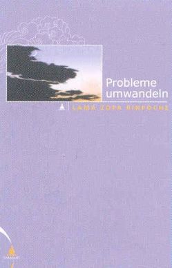 Probleme umwandeln von Cameron,  Alisa, Courtin,  Robina, Hildebrandt,  Gabriela, Wellnitz,  Claudia, Wetzel,  Sylvia, Zopa,  Thubten