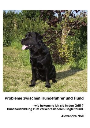 Probleme zwischen Hundeführer und Hund – wie bekomme ich sie in den Griff ? von Noll,  Alexandra