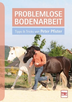 Problemlose Bodenarbeit von Pfister,  Peter