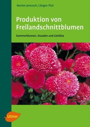 Produktion von Freilandschnittblumen von Jentzsch,  Marion, Thal,  Jürgen