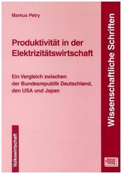 Produktivität in der Elektrizitätswirtschaft von Petry,  Markus