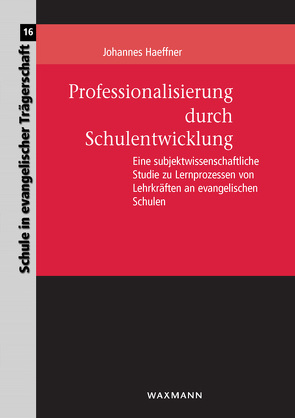 Professionalisierung durch Schulentwicklung von Haeffner,  Johannes