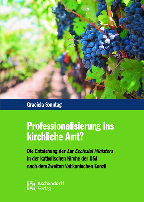 Professionalisierung ins kirchliche Amt? von Sonntag,  Graciela