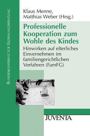 Professionelle Kooperation zum Wohle des Kindes von Menne,  Klaus, Weber,  Matthias