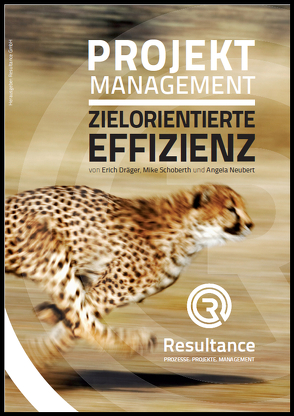 Projektmanagement Zielorientierte Effizienz