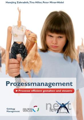 Prozessmanagement von Hiller,  Christina, Minar-Hödel,  Peter, Zahradnik,  Hansjörg