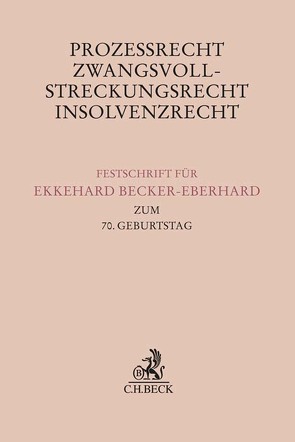 Prozessrecht, Zwangsvollstreckungsrecht, Insolvenzrecht von Berger,  Christian, Boemke,  Burkhard, Gaul,  Hans Friedhelm, Haertlein,  Lutz, Heiderhoff,  Bettina, Schilken,  Eberhard