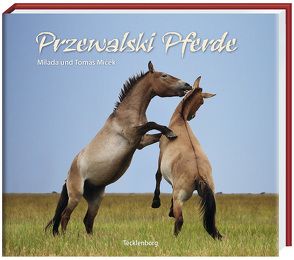Przewalski Pferde von Micek,  Tomas, Zimmermann,  Waltraut