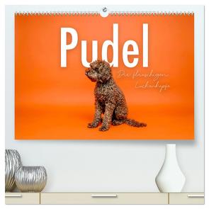 Pudel – Die flauschigen Lockenköpfe. (hochwertiger Premium Wandkalender 2024 DIN A2 quer), Kunstdruck in Hochglanz von SF,  SF