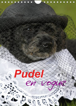 Pudel en vogue (Wandkalender 2023 DIN A4 hoch) von Lindert-Rottke,  Antje