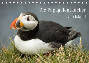 Die Papageientaucher von Island (Tischkalender 2022 DIN A5 quer) von Inxtagenumdiewelt.de