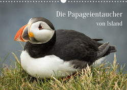 Die Papageientaucher von Island (Wandkalender 2022 DIN A3 quer) von Inxtagenumdiewelt.de