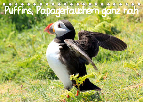 Puffins, Papageitauchern ganz nah (Tischkalender 2023 DIN A5 quer) von Valder,  Natascha