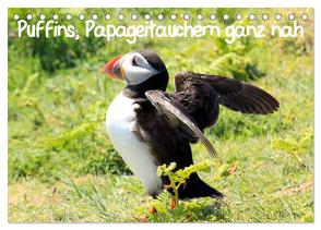 Puffins, Papageitauchern ganz nah (Tischkalender 2024 DIN A5 quer), CALVENDO Monatskalender von Valder,  Natascha