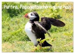 Puffins, Papageitauchern ganz nah (Wandkalender 2024 DIN A2 quer), CALVENDO Monatskalender von Valder,  Natascha