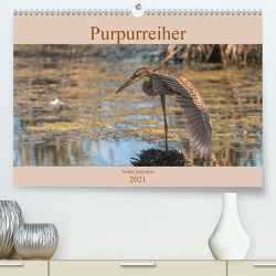 Purpurreiher (Premium, hochwertiger DIN A2 Wandkalender 2021, Kunstdruck in Hochglanz) von Köhn,  André