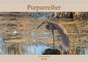 Purpurreiher (Tischkalender 2018 DIN A5 quer) von Köhn,  André