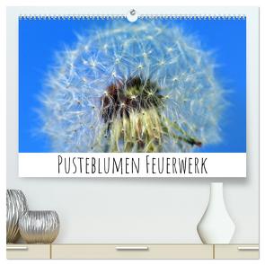 Pusteblumen Feuerwerk (hochwertiger Premium Wandkalender 2024 DIN A2 quer), Kunstdruck in Hochglanz von Drafz,  Silvia