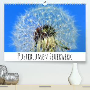 Pusteblumen Feuerwerk (Premium, hochwertiger DIN A2 Wandkalender 2023, Kunstdruck in Hochglanz) von Drafz,  Silvia