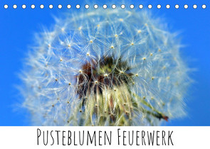 Pusteblumen Feuerwerk (Tischkalender 2023 DIN A5 quer) von Drafz,  Silvia