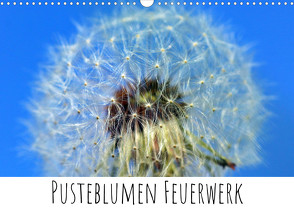 Pusteblumen Feuerwerk (Wandkalender 2022 DIN A3 quer) von Drafz,  Silvia