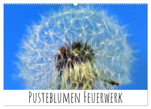 Pusteblumen Feuerwerk (Wandkalender 2024 DIN A2 quer), CALVENDO Monatskalender von Drafz,  Silvia