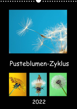 Pusteblumen-Zyklus (Wandkalender 2022 DIN A3 hoch) von Laimgruber,  Dagmar