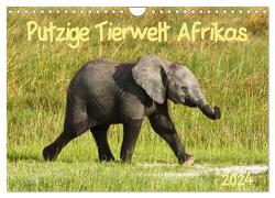 Putzige Tierwelt Afrikas (Wandkalender 2024 DIN A4 quer), CALVENDO Monatskalender von Haase,  Nadine