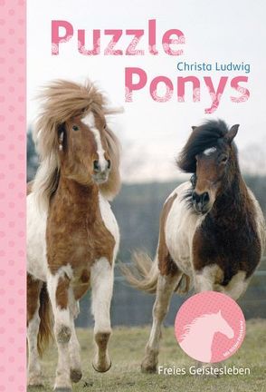 Puzzle-Ponys von Ludwig,  Christa, Schmidt,  Wolfgang