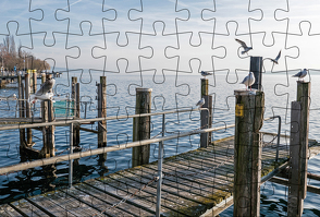 Puzzle-Postkarte Bodensee 1