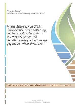 Pyramidisierung von QTL im Hinblick auf eine Verbesserung der Barley yellow dwarf virus Toleranz der Gerste und genetische Analyse der Toleranz gegenüber Wheat dwarf virus von Riedel,  Christine