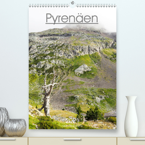 Pyrenäen – Spanien und Frankreich (Premium, hochwertiger DIN A2 Wandkalender 2021, Kunstdruck in Hochglanz) von Schwarzfischer,  Miriam