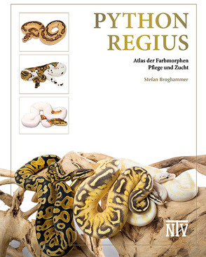 Python regius von Broghammer,  Stefan