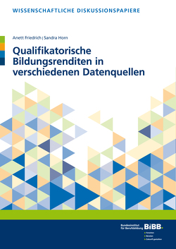 Qualifikatorische Bildungsrenditen in verschiedenen Datenquellen von Friedrich,  Anett, Horn,  Sandra