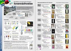 Qualitative anorganische Analyse: Ionennachweise von Krüger,  Marcus, Roth,  Thomas