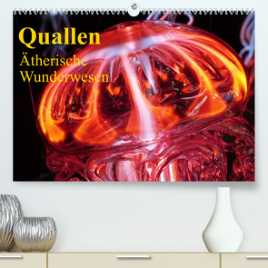 Quallen • Ätherische Wunderwesen (Premium, hochwertiger DIN A2 Wandkalender 2023, Kunstdruck in Hochglanz) von Stanzer,  Elisabeth