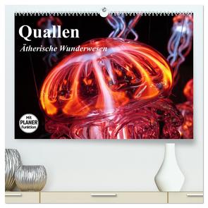 Quallen. Ätherische Wunderwesen (hochwertiger Premium Wandkalender 2024 DIN A2 quer), Kunstdruck in Hochglanz von Stanzer,  Elisabeth