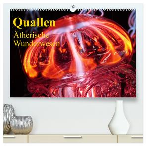 Quallen • Ätherische Wunderwesen (hochwertiger Premium Wandkalender 2024 DIN A2 quer), Kunstdruck in Hochglanz von Stanzer,  Elisabeth