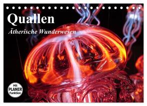 Quallen. Ätherische Wunderwesen (Tischkalender 2024 DIN A5 quer), CALVENDO Monatskalender von Stanzer,  Elisabeth